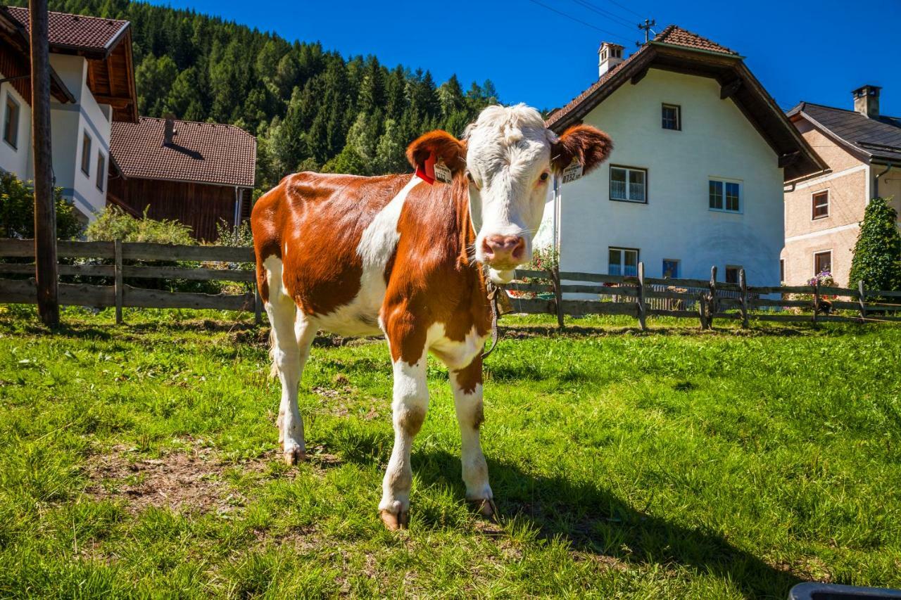 Grillhof-Gut Villa Mauterndorf  Buitenkant foto